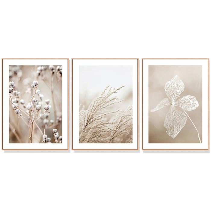 60cmx90cm Dried Flower 3 Sets Wood Frame Canvas Wall Art