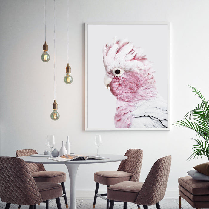 80cmx120cm Pink Galah White Frame Canvas Wall Art