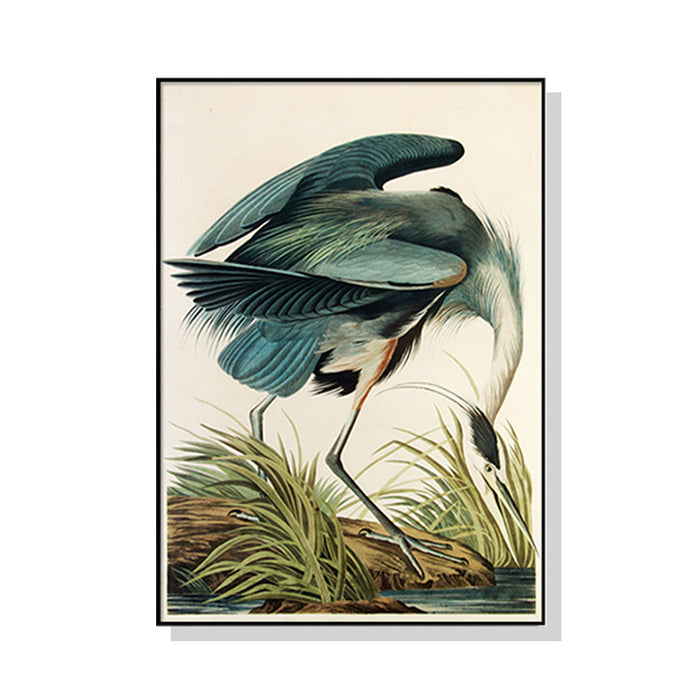 70cmx100cm Great Blue Heron By John James Audubon Black Frame Canvas Wall Art