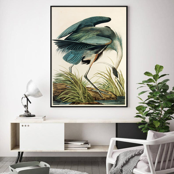 70cmx100cm Great Blue Heron By John James Audubon Black Frame Canvas Wall Art